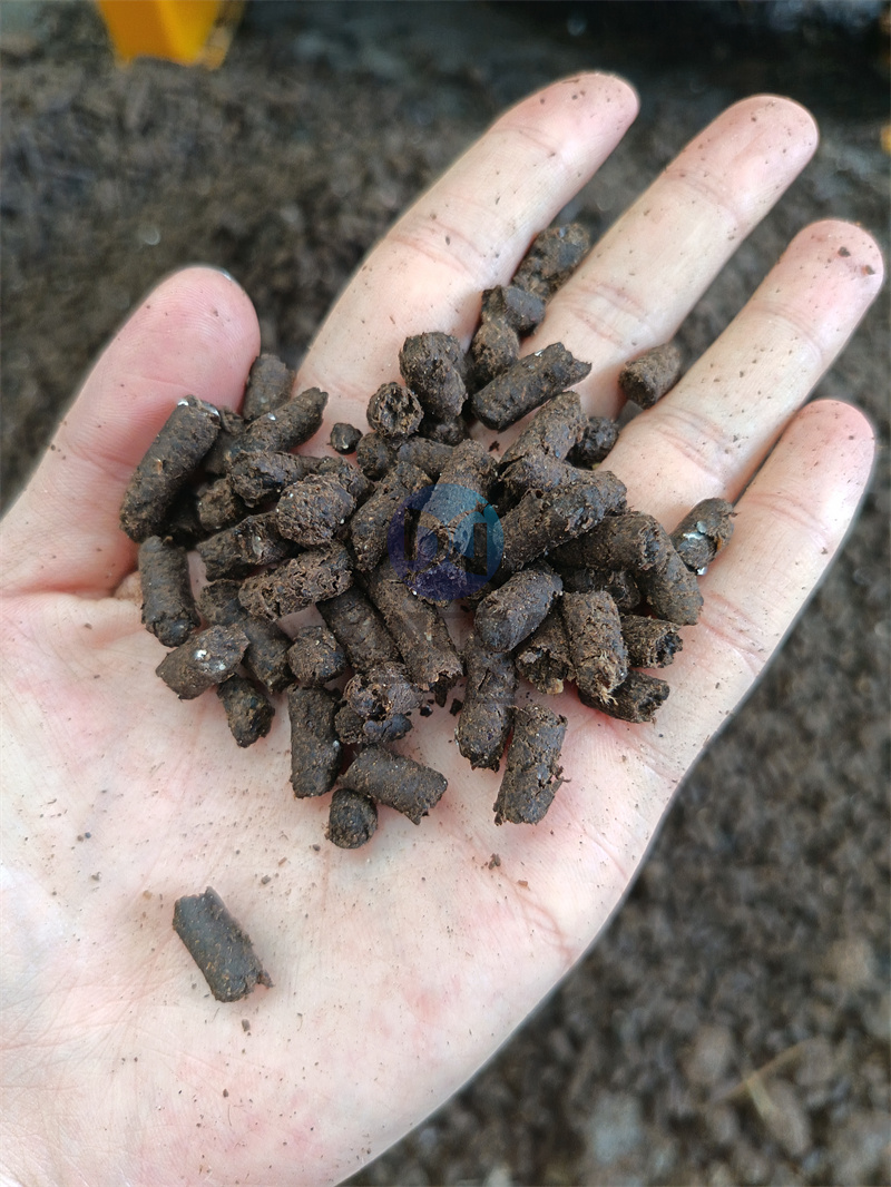 ����������������Ч��